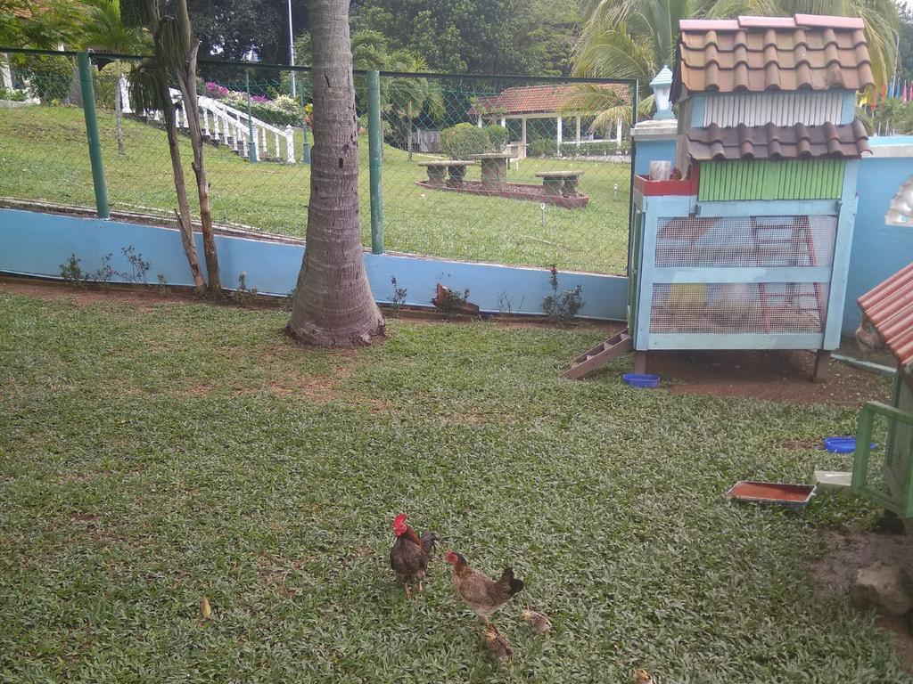 Kapitan Holiday home *
